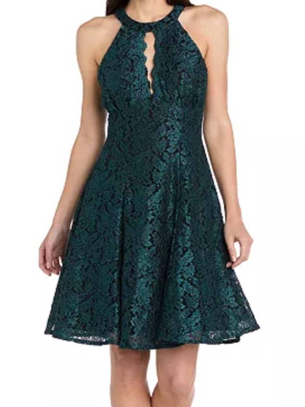 R&M Richards Lace Fit & Flare Dress